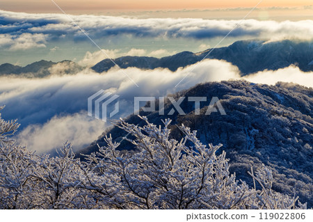 The frost-covered trees of Mt. Tonodake in Tanzawa and the morning mountain range with clouds rolling by 119022806