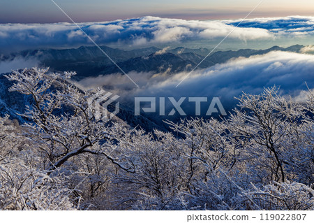 The frost-covered trees of Mt. Tonodake in Tanzawa and the morning mountain range with clouds rolling by 119022807