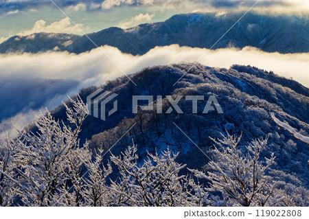 The frost-covered trees of Mt. Tonodake in Tanzawa and the morning mountain range with clouds rolling by 119022808