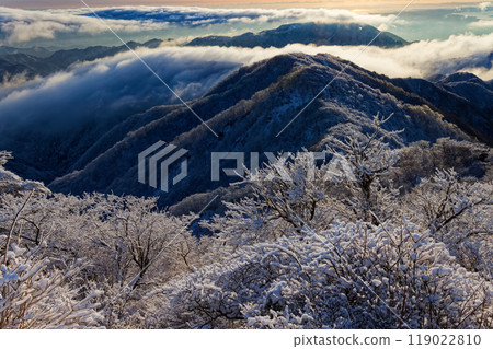 The frost-covered trees of Mt. Tonodake in Tanzawa and the morning mountain range with clouds rolling by 119022810