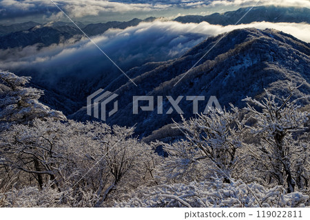The frost-covered trees of Mt. Tonodake in Tanzawa and the morning mountain range with clouds rolling by 119022811