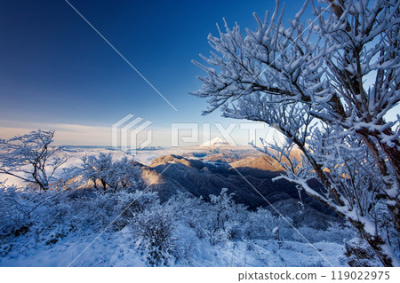 View of Mt. Fuji and frost-covered trees at the summit of Mt. Tonodake in Tanzawa 119022975