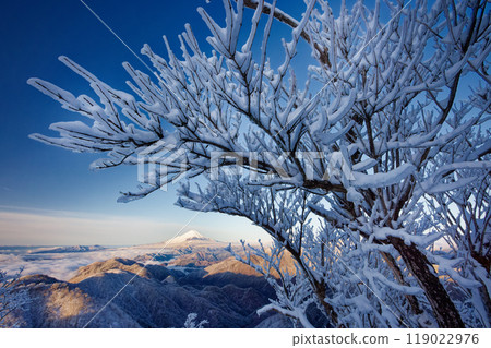 View of Mt. Fuji and frost-covered trees at the summit of Mt. Tonodake in Tanzawa View of Mt. Fuji and frost-covered trees at the summit of Mt. Tonodake in Tanzawa 119022976