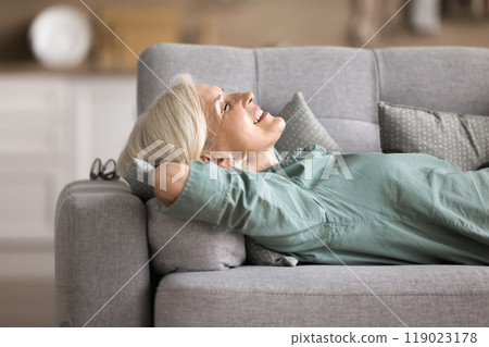 Serene elderly woman takes daytime nap lying on cozy couch Serene elderly woman takes daytime nap lying on cozy couch 119023178
