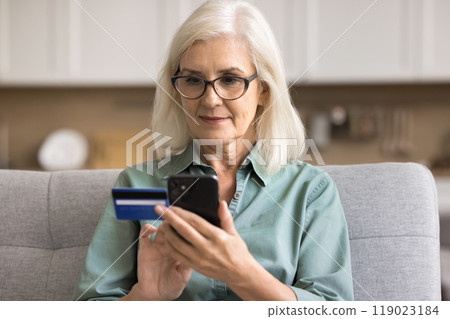 Female sit on sofa at home holding card and cellphone 119023184