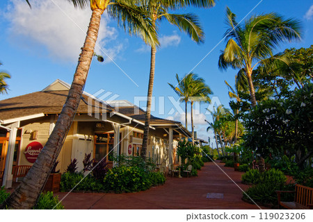 Old Koloa Town, Kauai Old Koloa Town, Kauai 119023206