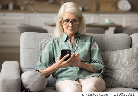 Older woman sitting on sofa, smiling while using her smartphone Older woman sitting on sofa, smiling while using her smartphone 119023321