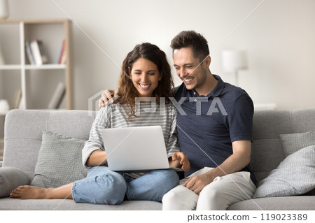 Cheerful attractive romantic couple using computer at home 119023389