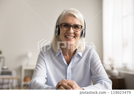 Woman sitting at table engaged in videocall or online meeting Woman sitting at table engaged in videocall or online meeting 119023479