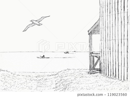 老鷹飛翔的海邊 119023560