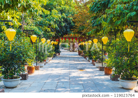 alley decorated with Chinese lanterns in park with trees in a garden at a Buddhist pagoda in Asia in Vietnam 119023764