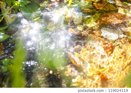 森林小山北谷沢溪流的秋季彩色圖像 119024119