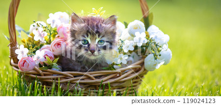 Little kitten sitting in a basket on the grass with flowers in the summer garden 119024123