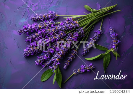 Lavender bouquet on purple background with Lavender text. Ideal for aromatherapy, floral themes, natural beauty, and wellness-related designs Lavender bouquet on purple background with Lavender text. Ideal for aromatherapy, floral themes, natural beauty, and wellness-related designs 119024284