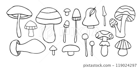 A collection of hand-drawn mushroom illustrations featuring various species. Ideal for botanical, nature, and foraging designs. Perfect for autumn or wild forest themes 119024297