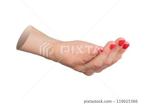 Open hand with palm up, outstretched and isolated on white background. Woman s arm offering help, 119025366