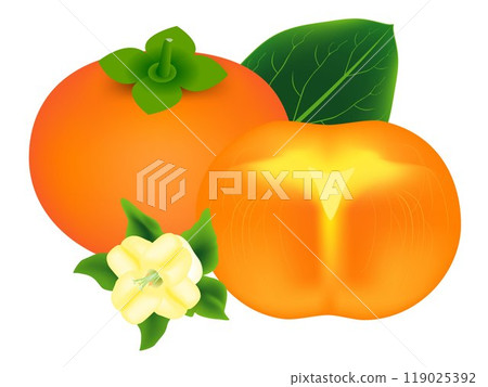 Whole persimmon fruit with leaf, slice and flower isolated on white background. 119025392