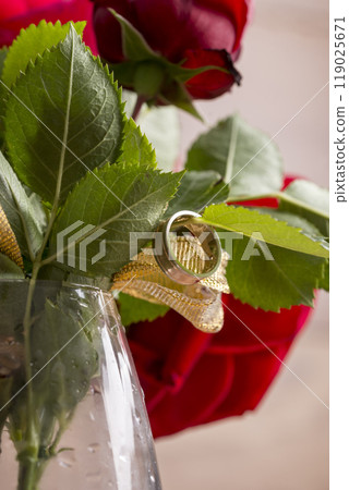 Closeup of engagement ring hanging from a leaf of red blooming rose 119025671