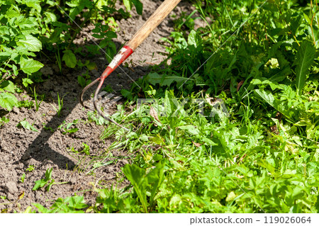 Farmer Weeding with Hoe on Rural Farm 119026064