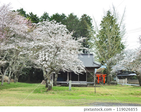 The Kiyohara Shrine of Usobuki Hachiman in Buzen City, Fukuoka Prefecture The Kiyohara Shrine of Usobuki Hachiman in Buzen City, Fukuoka Prefecture 119026855