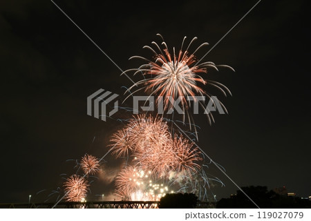 夏日夜空淀川煙火大會2024 119027079