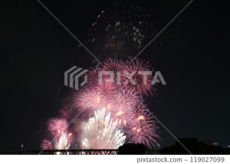夏日夜空淀川煙火大會2024 119027099
