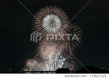 夏日夜空淀川煙火大會2024 夏日夜空淀川煙火大會2024 119027125