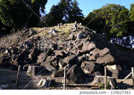 Ishigakiyama Ichiyajo Historical Park Minamikuruwa 119027361