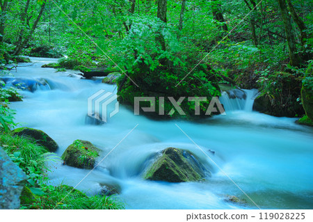Mossy rocks and flowing water, a natural feature of the Oirase landscape 119028225