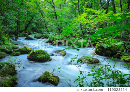 大自然創造的苔蘚岩石和流水－奧入瀨的風景 119028234