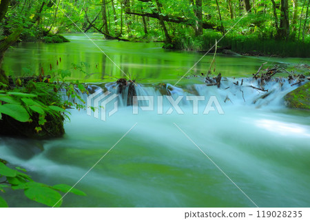 Mossy rocks and flowing water, a natural feature of the Oirase landscape 119028235