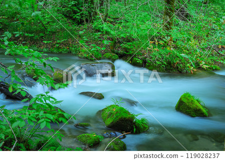 Mossy rocks and flowing water, a natural feature of the Oirase landscape Mossy rocks and flowing water, a natural feature of the Oirase landscape 119028237