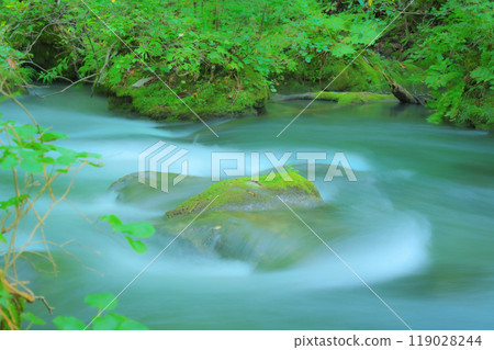 Mossy rocks and flowing water, a natural feature of the Oirase landscape 119028244