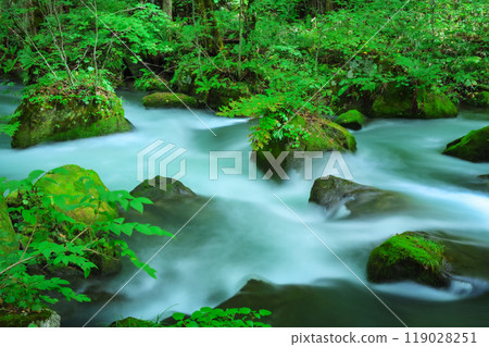 大自然創造的苔蘚岩石和流水－奧入瀨的風景 119028251