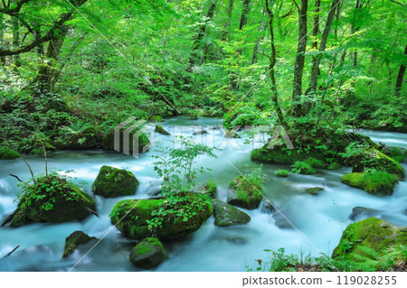 大自然創造的苔蘚岩石和流水－奧入瀨阿修羅溪的風景 119028255