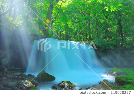 Moss-covered rocks and flowing water created by nature - Oirase scenery, Choshi Otaki waterfall 119028257