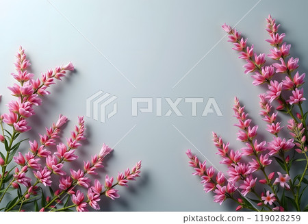 Pink Rosemary on a Gray Background 119028259