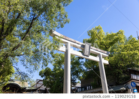 Sannoukarasu at Ishikiri Kenya Shrine (photographed in September 2024) 119029158
