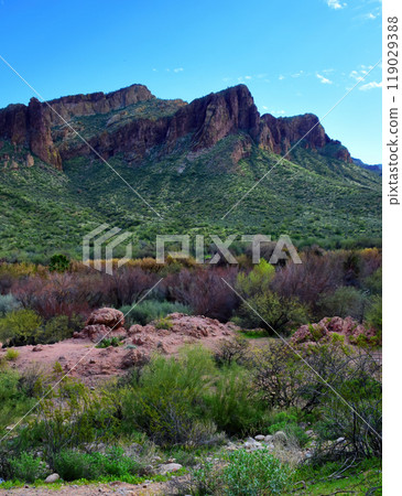 Salt River Recreation Area Arizona 119029388