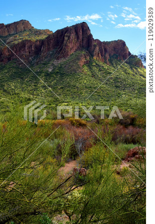 Salt River Recreation Area Arizona Salt River Recreation Area Arizona 119029389