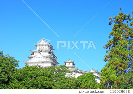 Scenery of National Treasure Himeji Castle, Himeji City, Hyogo Prefecture 119029658