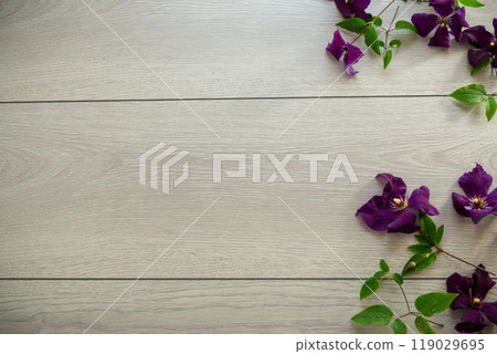 branch of blooming purple clematis, on a light wooden table branch of blooming purple clematis, on a light wooden table 119029695
