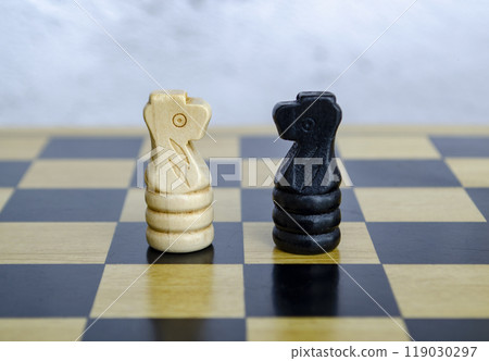 Battle against black and white knights to determine who is going to be the winner Battle against black and white knights to determine who is going to be the winner 119030297
