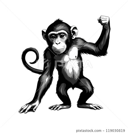 Monkey doing a fist pump│Chimpanzee│Monkey│011 119030819