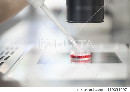 用移液管處理培養液的實驗特寫 用移液管處理培養液的實驗特寫 119031997