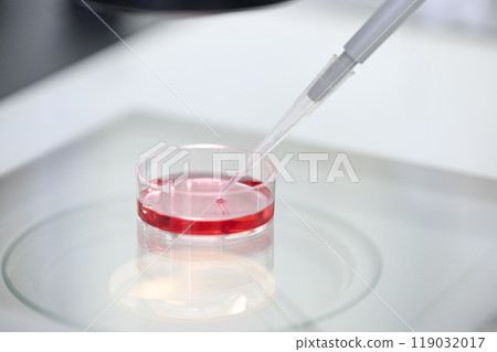 用移液管處理培養液的實驗特寫 用移液管處理培養液的實驗特寫 119032017