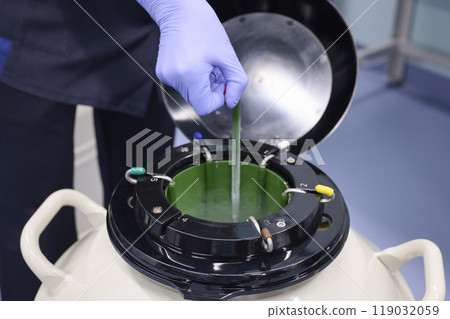 An experimenter managing samples in a liquid nitrogen tank 119032059