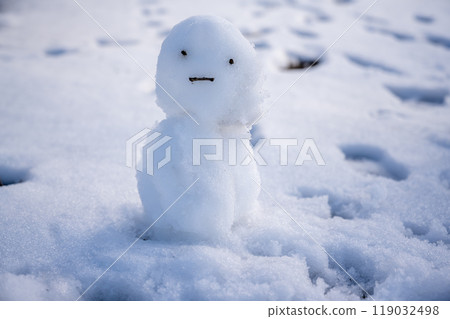 面無表情的雪人 119032498