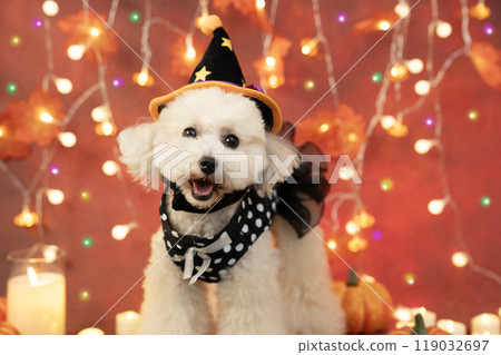 萬聖節微笑的玩具貴賓犬、照明、蠟燭和南瓜 119032697