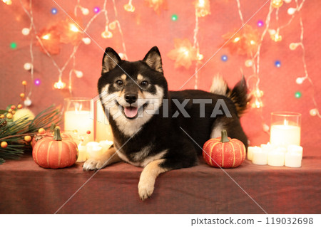 萬聖節微笑豆柴、燈光、蠟燭和南瓜 萬聖節微笑豆柴、燈光、蠟燭和南瓜 119032698